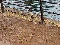bilder/galerie/sommer23/innenhafen 22062023 (6).jpg